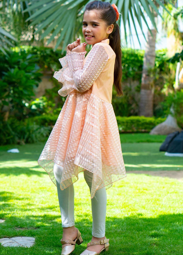 Modest Net Fancy Pret Frock for Girls -  Dandeline - Net 5005-Peach