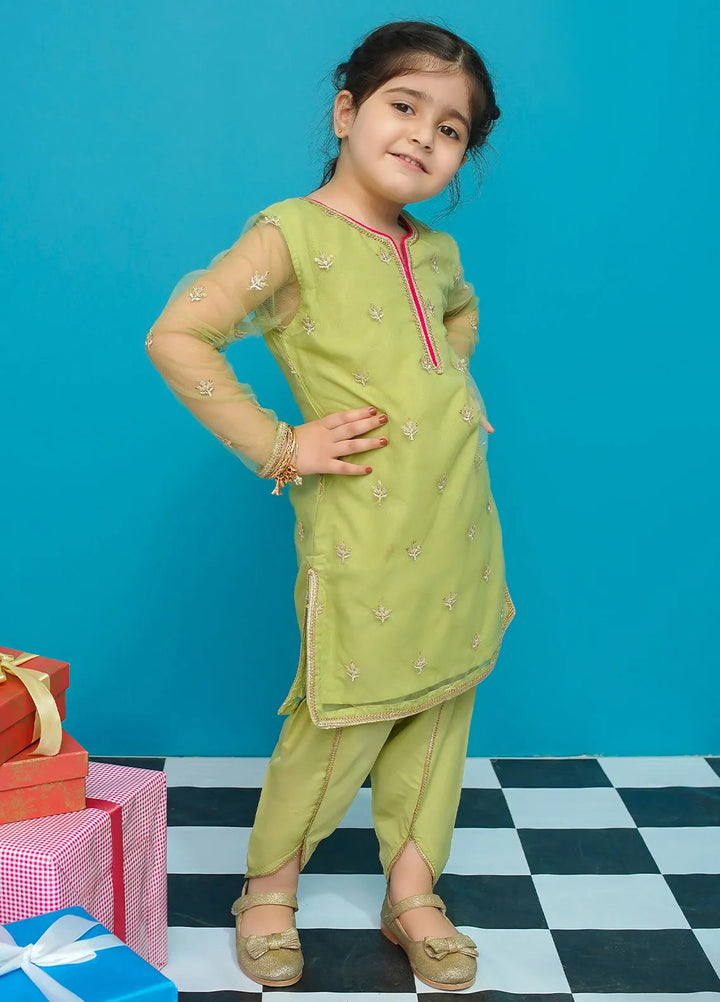 Modest Pret Embroidered Net 2 Piece Suit Heer