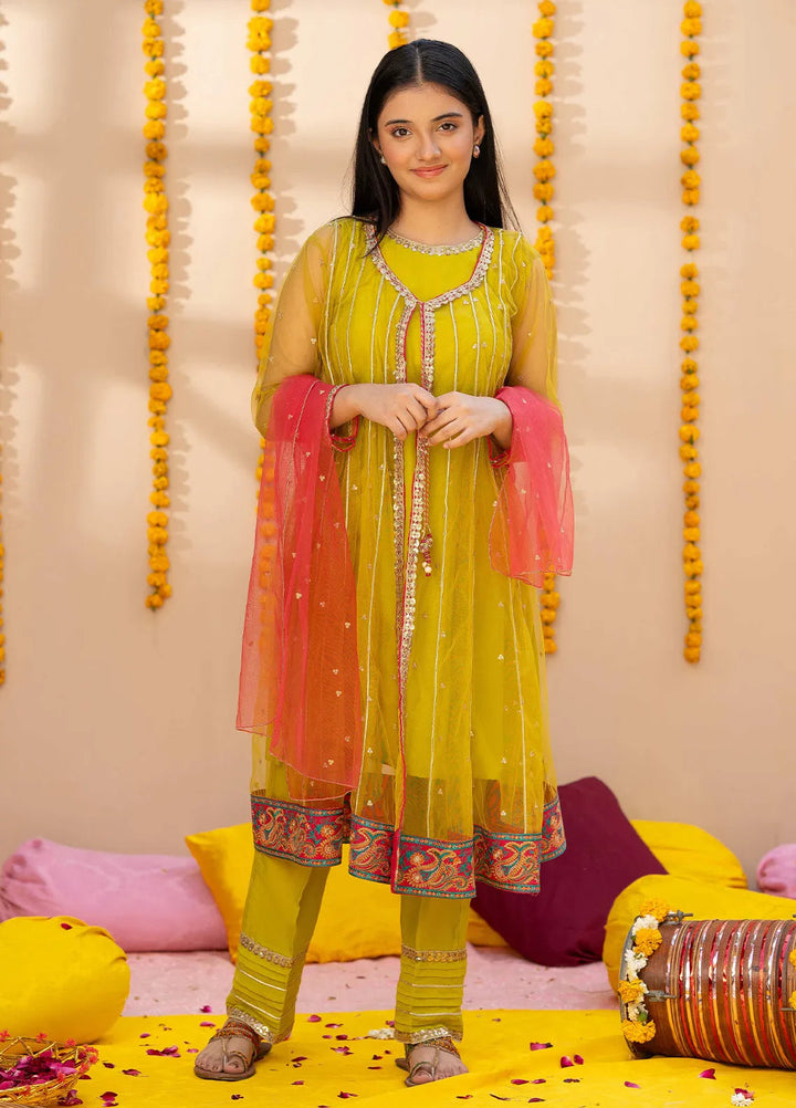 Modest Pret Embroidered Net 3 Piece Suit Baano