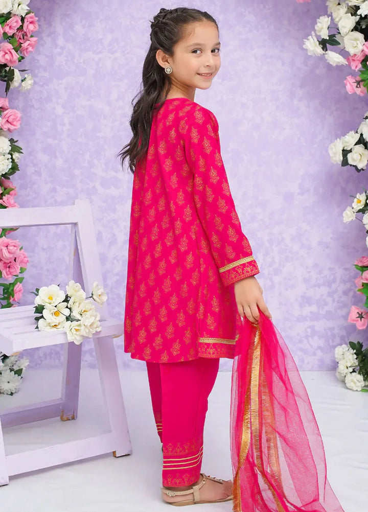 Modest Pret Embroidered Rawsilk 3 Piece Suit Shanaya