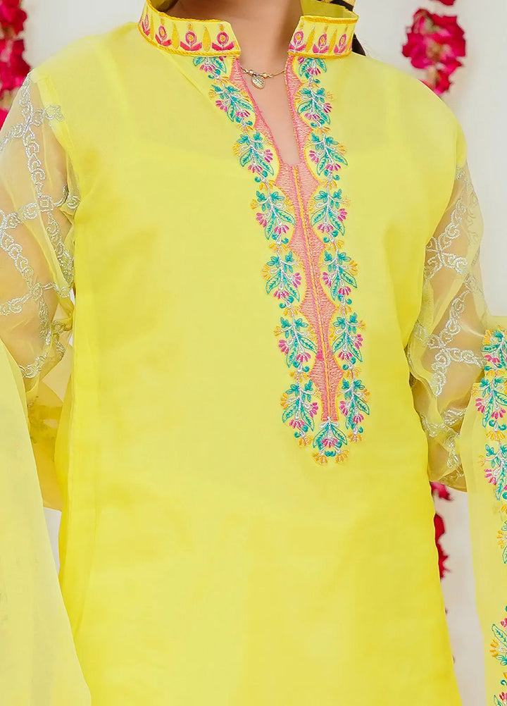 Modest Pret Hareem Rawsilk 3 Piece Suit Hareem