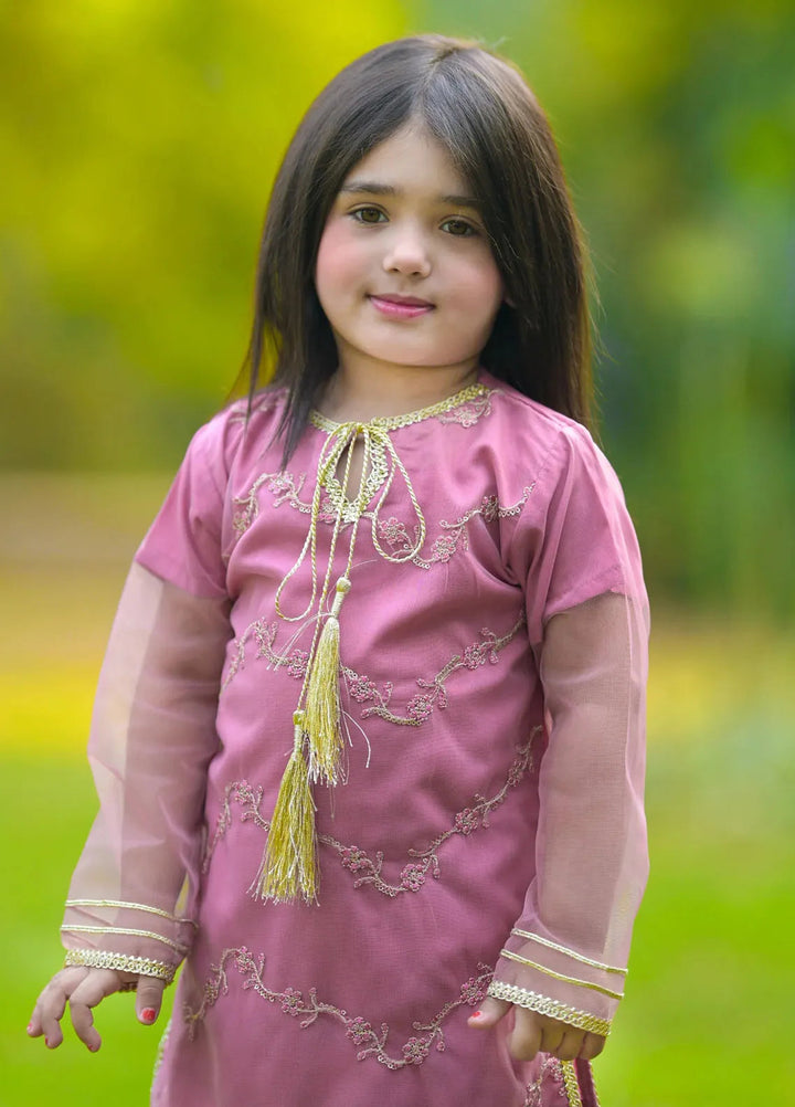 Modest Pret Net 2 Piece Suit Noor