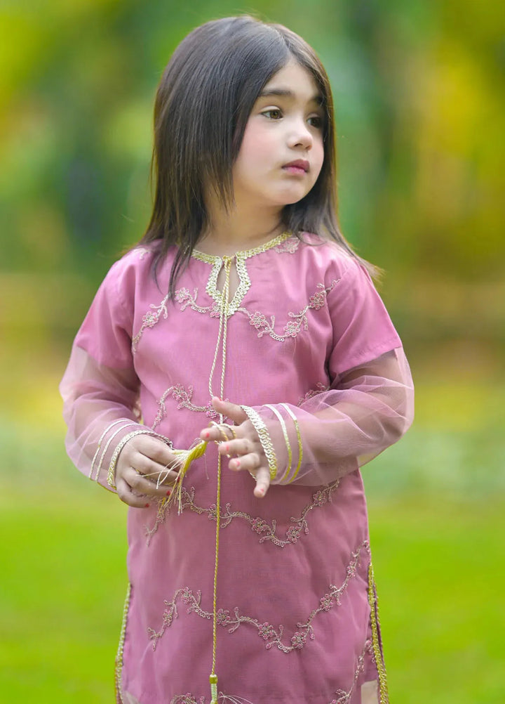 Modest Pret Net 2 Piece Suit Noor