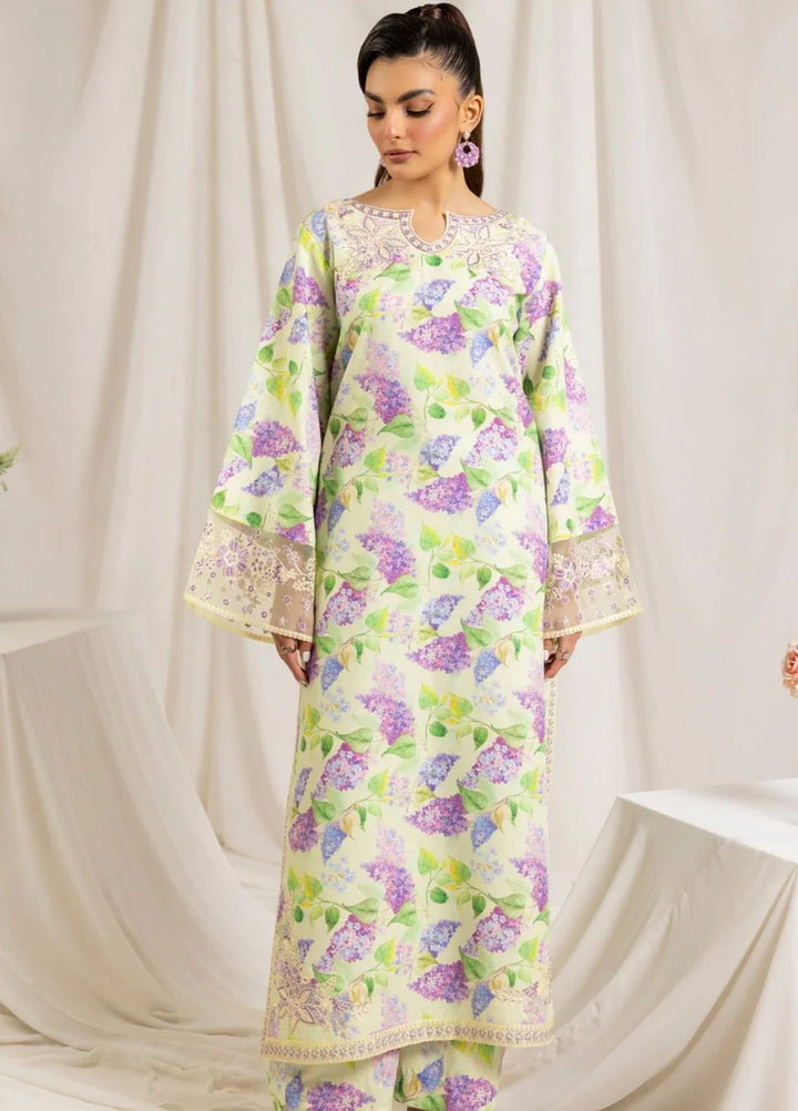 Mohagni Embroidered Lawn Suits Unstitched 2 Piece MG24T PLS-102 - Summer Collection