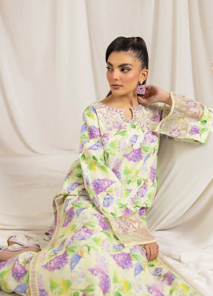 Mohagni Embroidered Lawn Suits Unstitched 2 Piece MG24T PLS-102 - Summer Collection