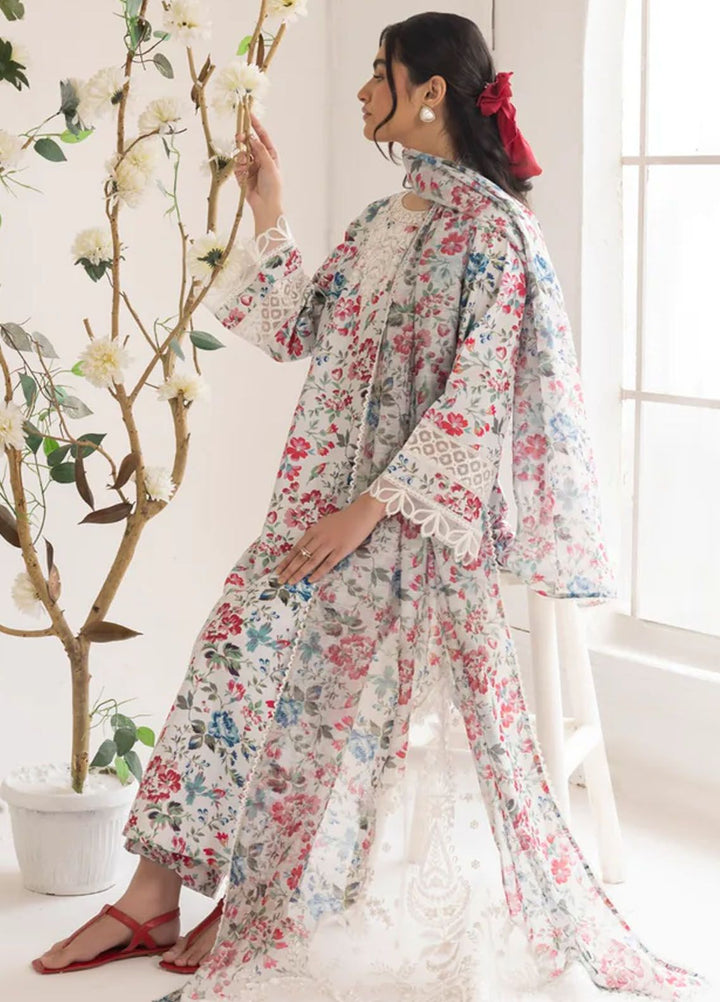 Mohagni Embroidered Lawn Suits Unstitched 3 Piece MG24T PLS-113 - Summer Collection