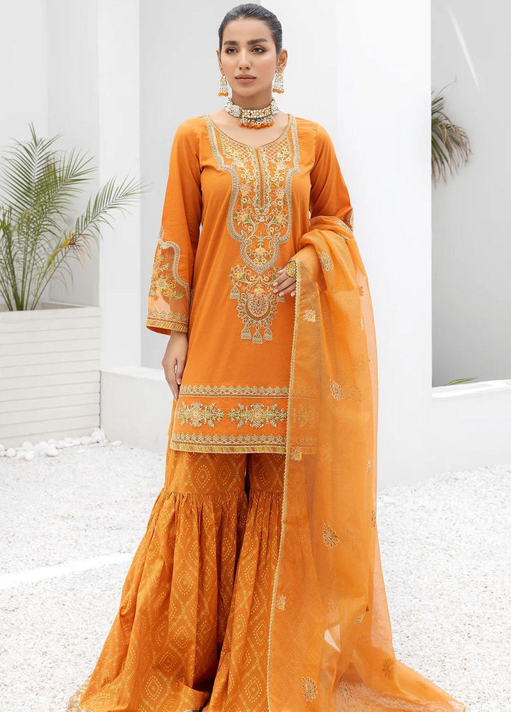 Mohagni Cambric Luxury 3 Piece Suit for Women -  MO23MM LEG-07