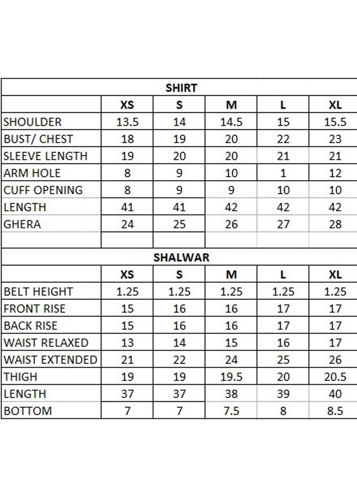 Mohagni Pret Embroidered Cotton Silk 2 Piece Suit CSP-12