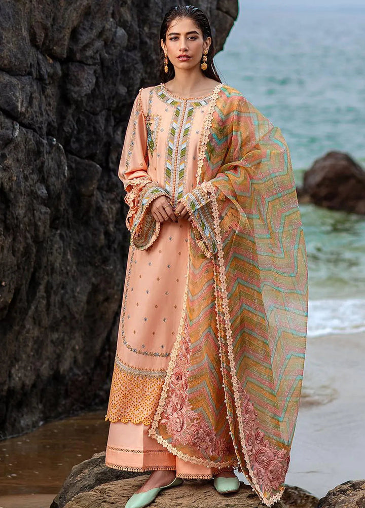 Mohsin Naveed Ranjha Embroidered Lawn Suits Unstitched 3 Piece MNR24DS MFL-018 Rani - Summer Collection