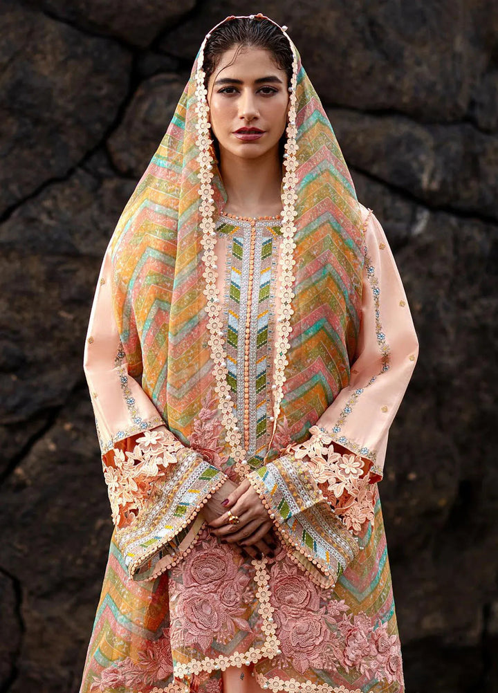 Mohsin Naveed Ranjha Embroidered Lawn Suits Unstitched 3 Piece MNR24DS MFL-018 Rani - Summer Collection