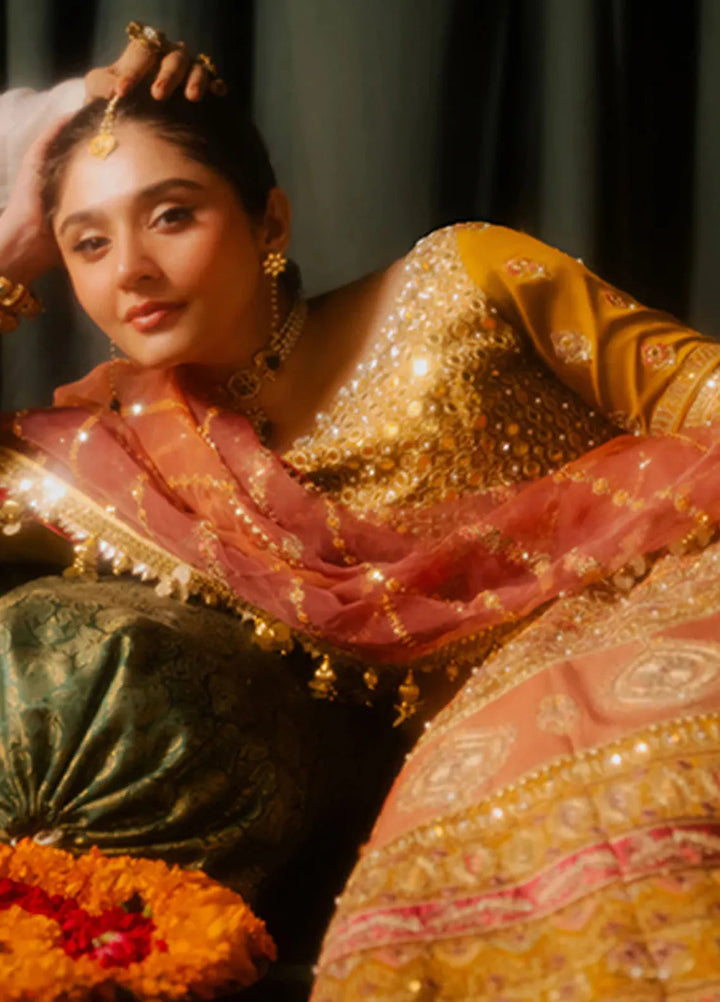 Mohsin Naveed Ranjha Embroidered Raw Silk Suit Unstitched 3 Piece MNR24ZD Meher - Luxury Collection