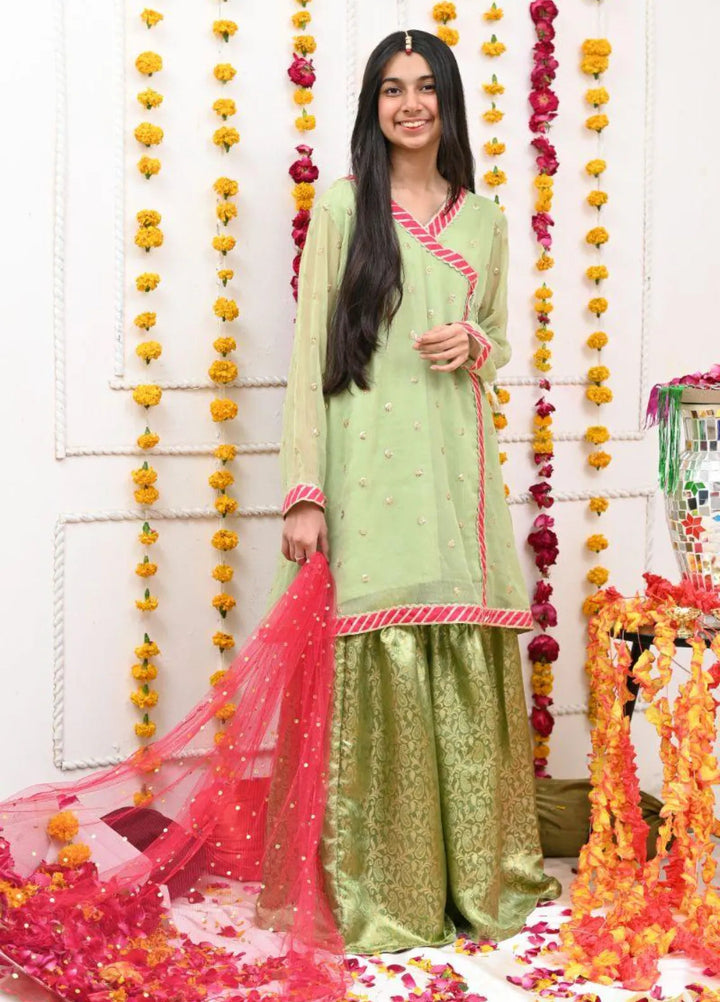 Mom4Little Pret Chiffon Mint Green Anghrakha Frock