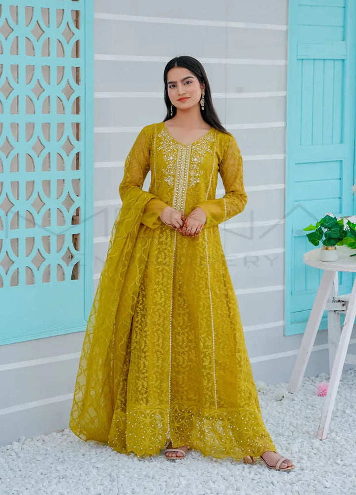 Mona Embroidery Pret Embroidered Chiffon 3 Piece Suit Delicate Drapes Dhani