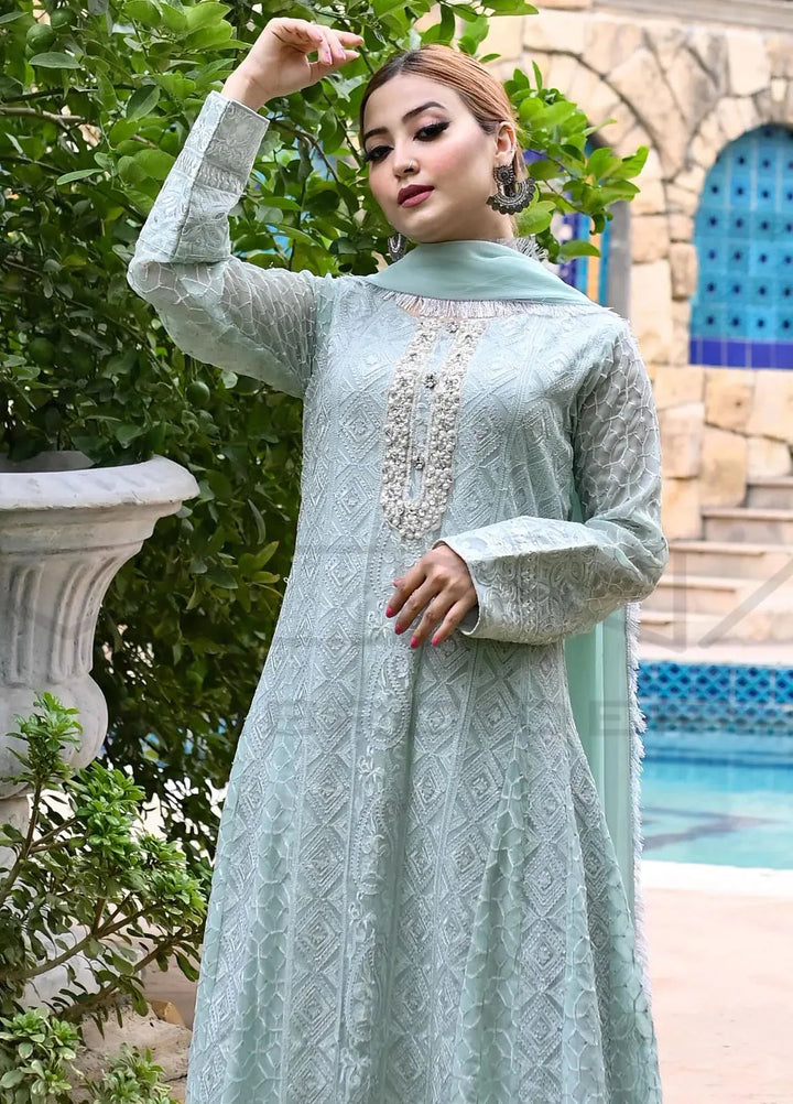 Mona Embroidery Pret Embroidered Chiffon 3 Piece Suit Dusty Affair-Mint-Green