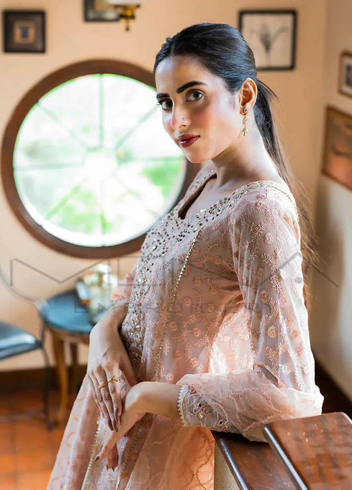 Mona Embroidery Pret Embroidered Chiffon 3 Piece Suit Ornate Blossoms Peach