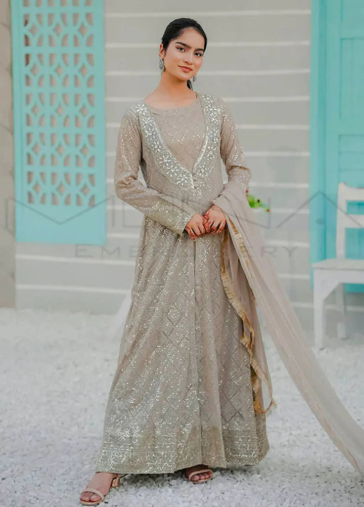 Mona Embroidery Pret Embroidered Chiffon 3 Piece Suit Silhouette Elegance Camel