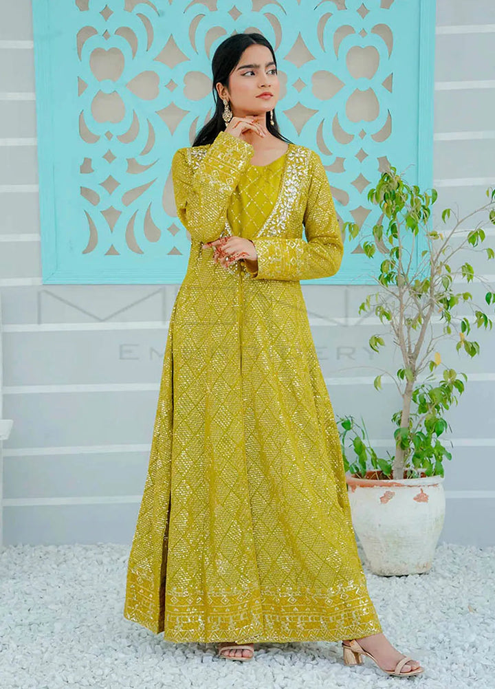 Mona Embroidery Pret Embroidered Chiffon 3 Piece Suit Silhouette Elegance Dhani