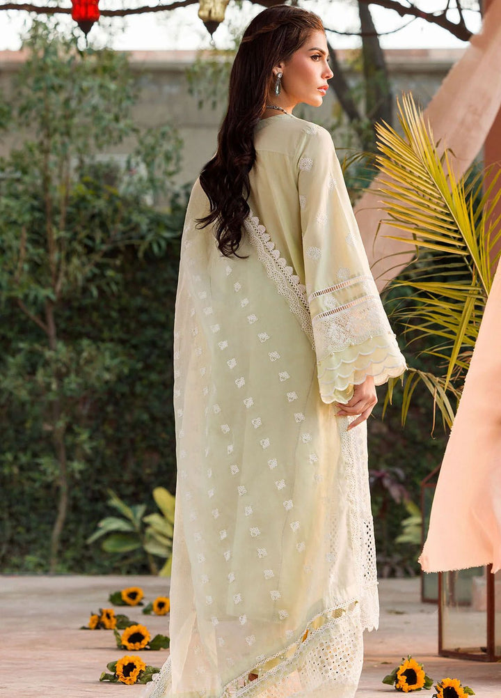 Motifz Embroidered Lawn Suits Unstitched 3 Piece MT24P2 4432-Benazir - Summer Collection