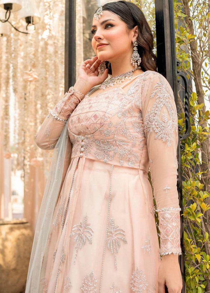 Motifz Embroidered Net Suits Unstitched 3 Piece MT23PB MWU04111 Saanvi - Luxury Collection