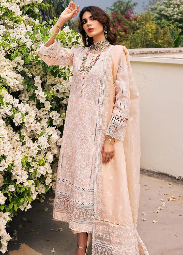 Motifz Embroidered Lawn Suits Unstitched 3 Piece MT23-P2 3982 ASRA - Premium Collection
