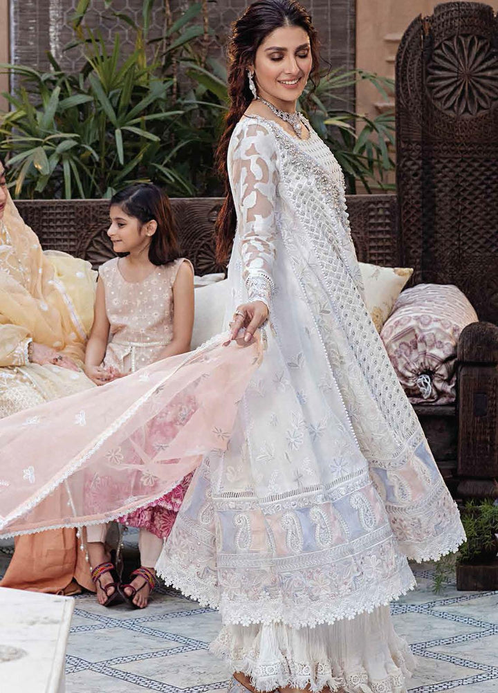 Mushq Chikankari Cotton Net Suits Unstitched 3 Piece MFC21-10 JANA - Festive Collection