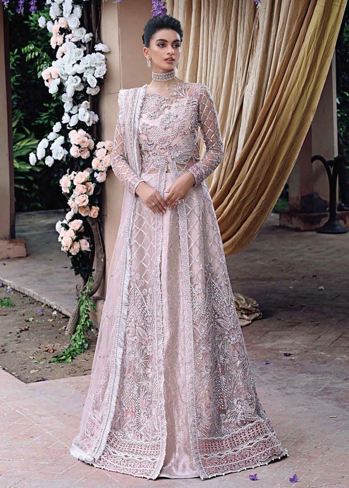 Dhee Rani By Mushq Embroidered Net Suits Unstitched 3 Piece MQ21WD TDL21-02 Nihal - Wedding Collection