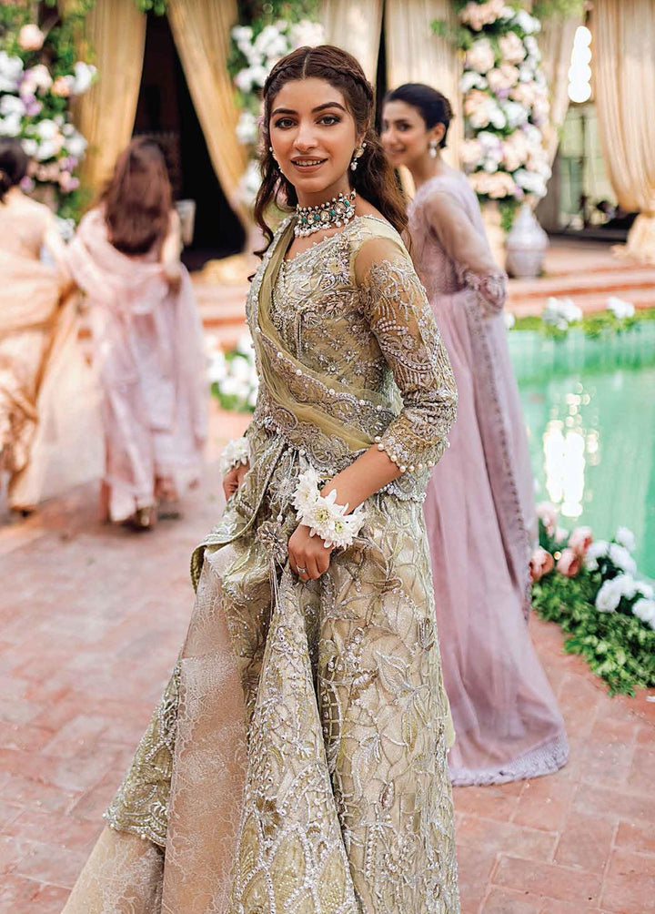 Dhee Rani By Mushq Embroidered Net Suits Unstitched 3 Piece MQ21WD TDL21-07 Leela - Wedding Collection