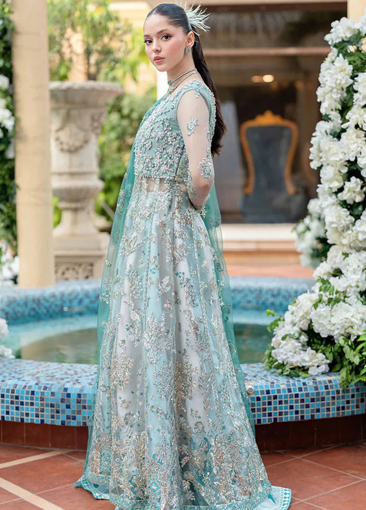 Mushq Embroidered Net Suit Unstitched 4 Piece MQ25MW MWD-01 Kahani - Formals Collection