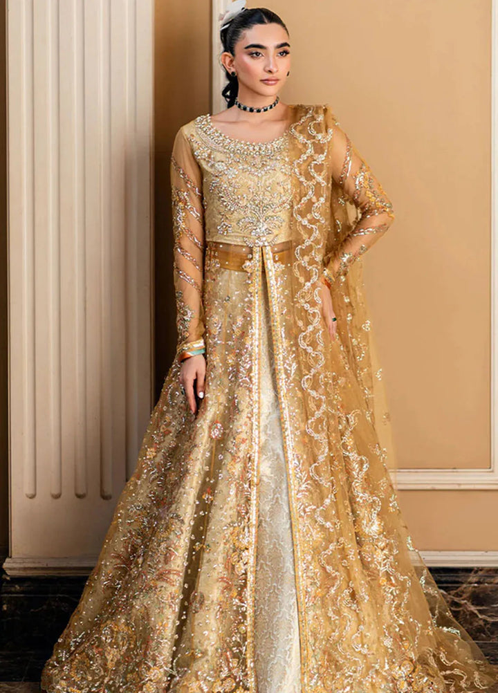 Mushq Embroidered Net Suit Unstitched 4 Piece MQ25MW MWD-03 Sitaray - Formals Collection