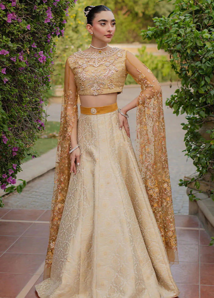 Mushq Embroidered Net Suit Unstitched 4 Piece MQ25MW MWD-03 Sitaray - Formals Collection