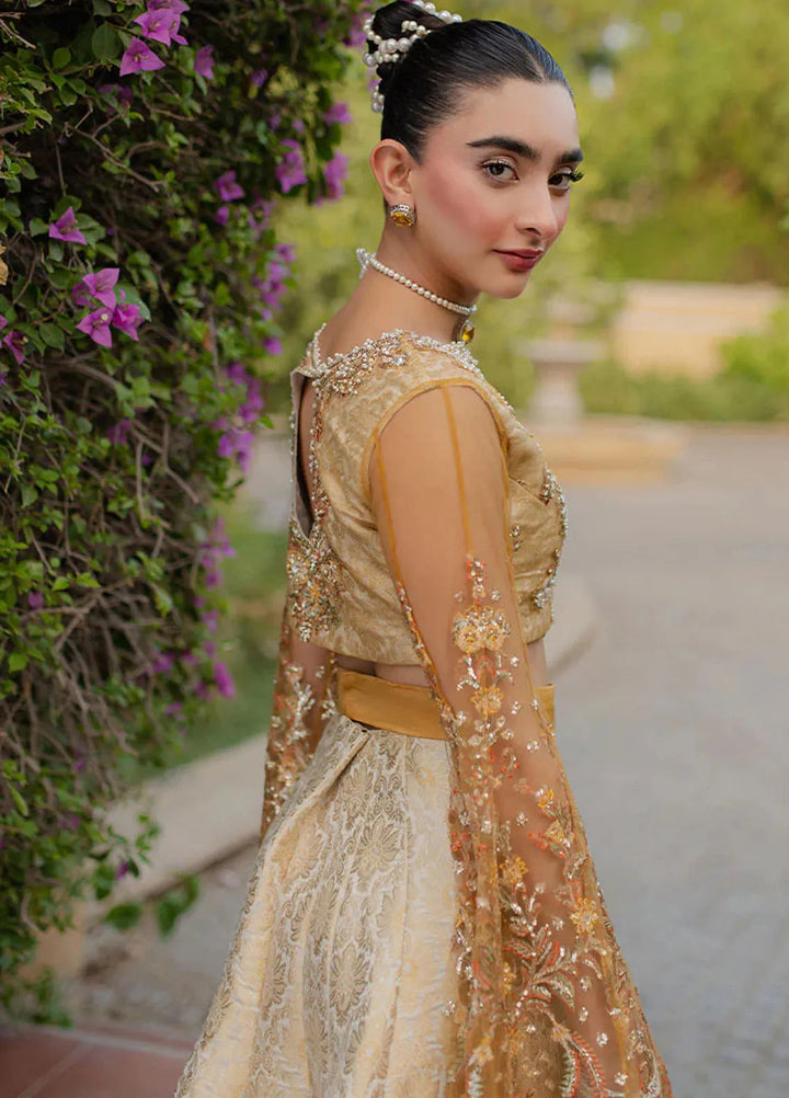 Mushq Embroidered Net Suit Unstitched 4 Piece MQ25MW MWD-03 Sitaray - Formals Collection