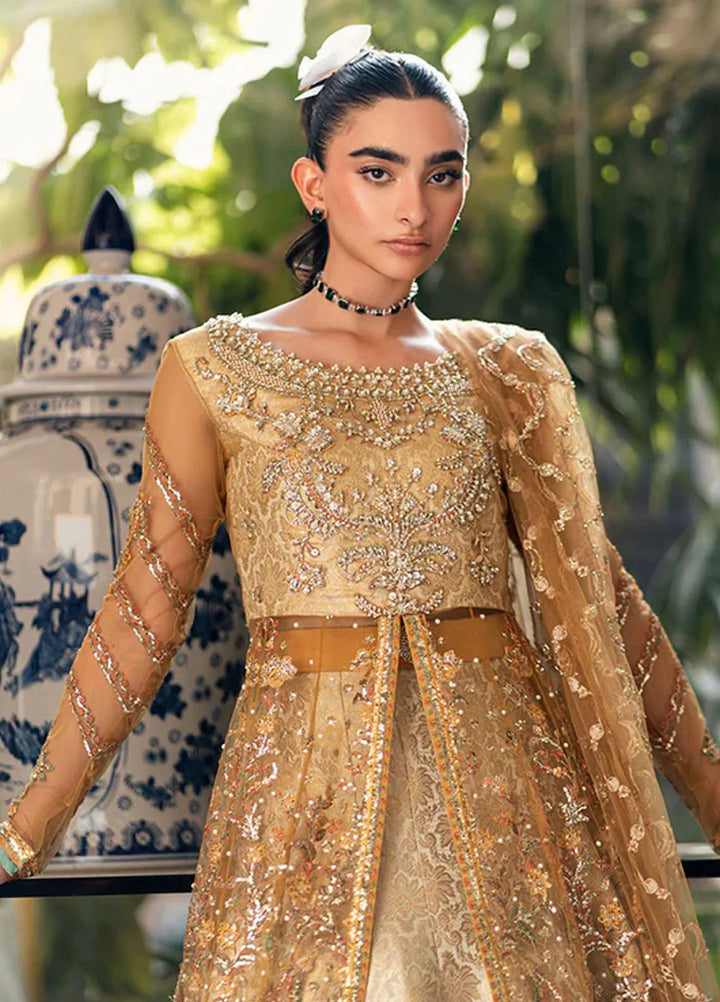 Mushq Embroidered Net Suit Unstitched 4 Piece MQ25MW MWD-03 Sitaray - Formals Collection