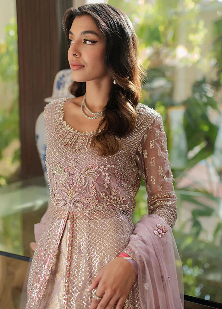 Mushq Embroidered Net Suit Unstitched 4 Piece MQ25MW MWD-05 Waday - Formals Collection