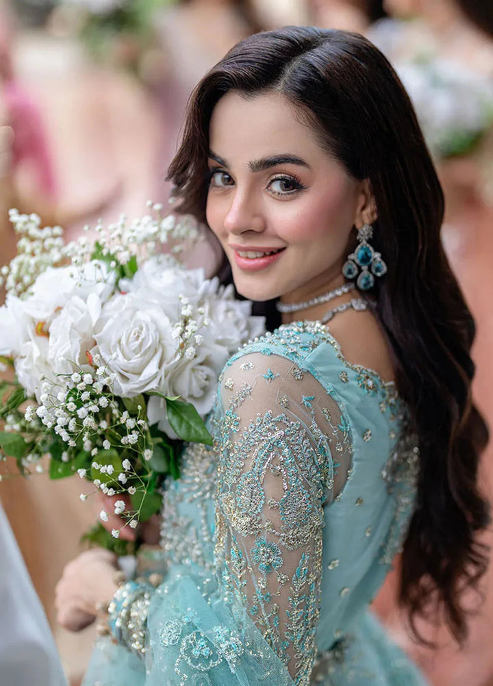 Mushq Embroidered Net Suit Unstitched 4 Piece MQ25MW MWD-06 Dou Pal - Formals Collection