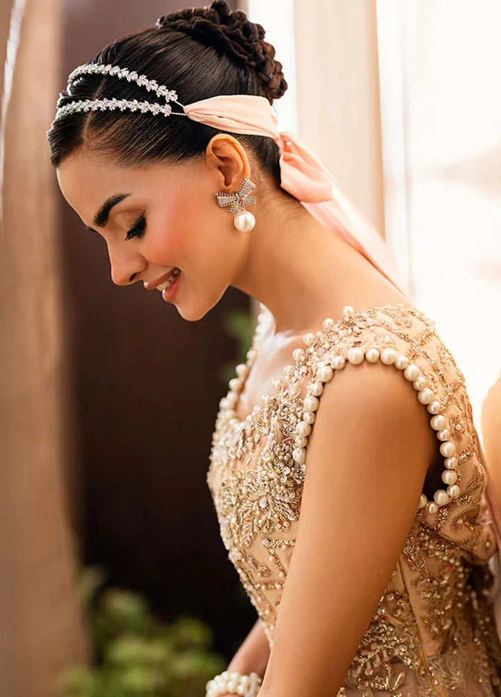 Mushq Embroidered Net Suit Unstitched 4 Piece MQ25MW MWD-07 Isharay - Formals Collection