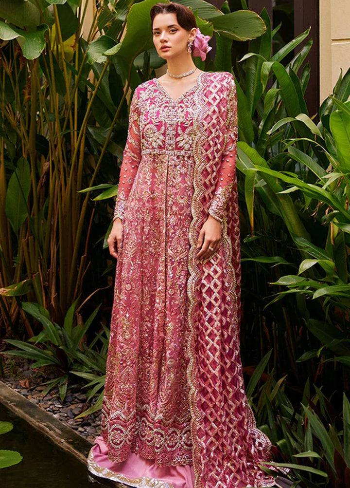 Mushq Embroidered Net Suits Unstitched 3 Piece MQ25MR BOM-13 Cupid - Formals Collection