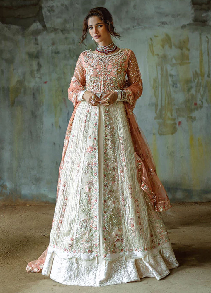 Mushq Embroidered Net Suits Unstitched 3 Piece MQ25MR MWD-01 Galaxy Gown - Formals Collection
