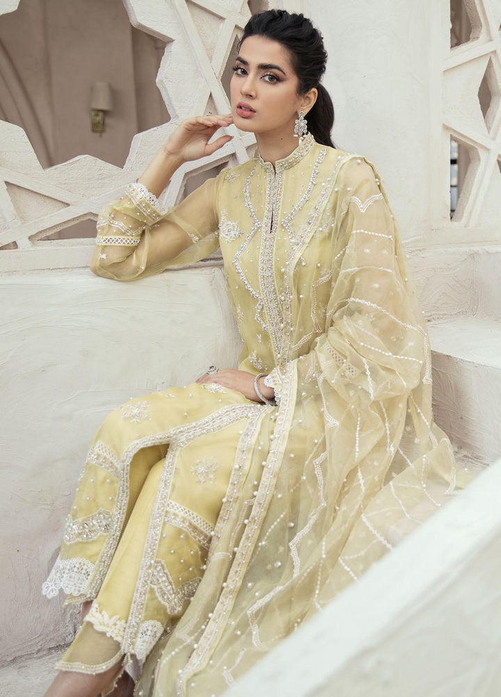 Mushq Luxury Pret  Organza Shirt APHRODITE