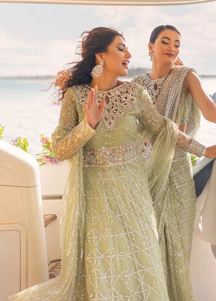 Mushq Embroidered Chiffon Suits Unstitched 3 Piece MQ22WD MSQ 22 - 03 Mizzle - Wedding Collection