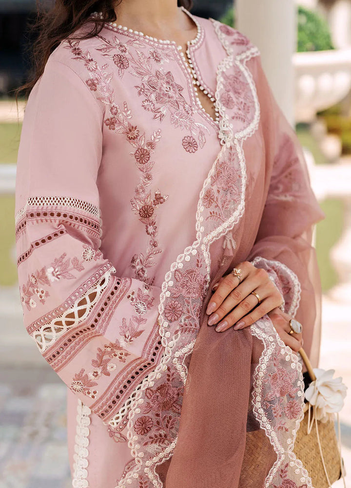 Mushq Pret Casual Lawn 3 Piece Suit D-01 Tropical Haven