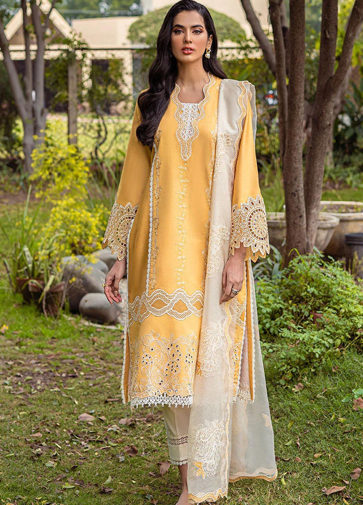 Mushq Pret  Cotton Net 3 Piece Suit MQ22SB MCP-02 DAISY