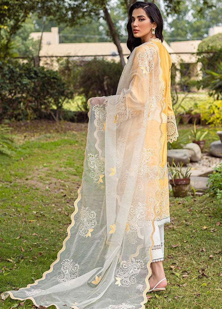 Mushq Pret  Cotton Net 3 Piece Suit MQ22SB MCP-02 DAISY