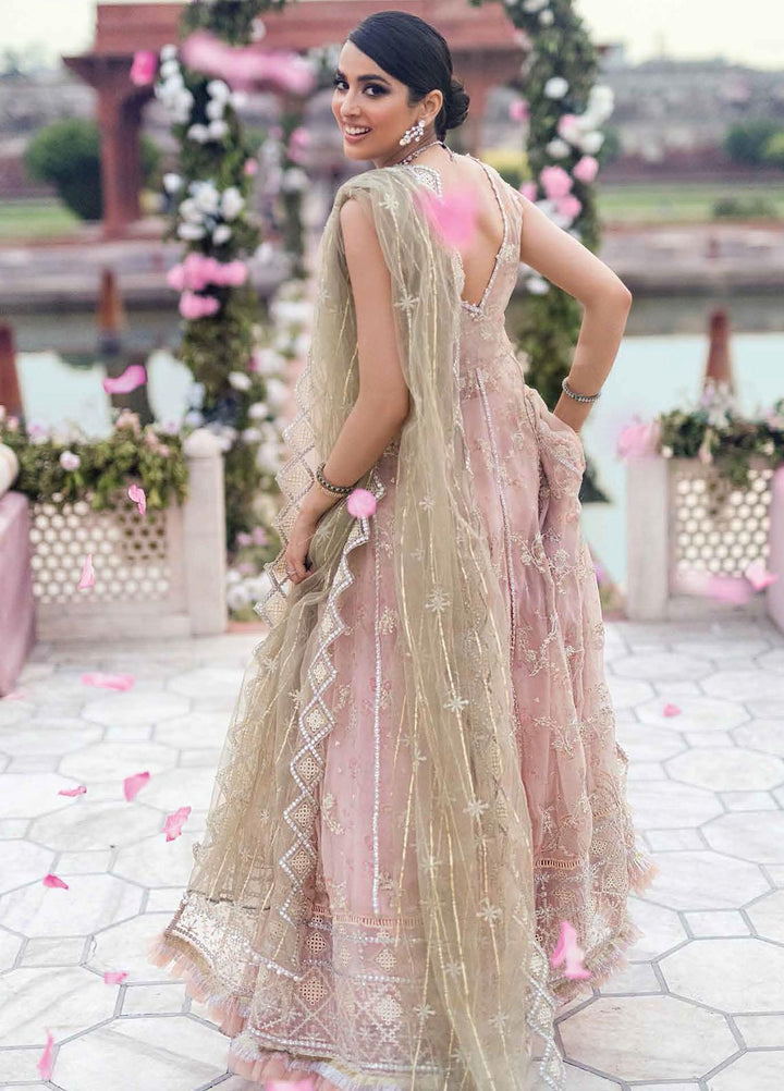 Mushq Embroidered Chiffon Suits Unstitched 3 Piece MQ21TK SDL21-06 DAHALIA - Luxury Collection