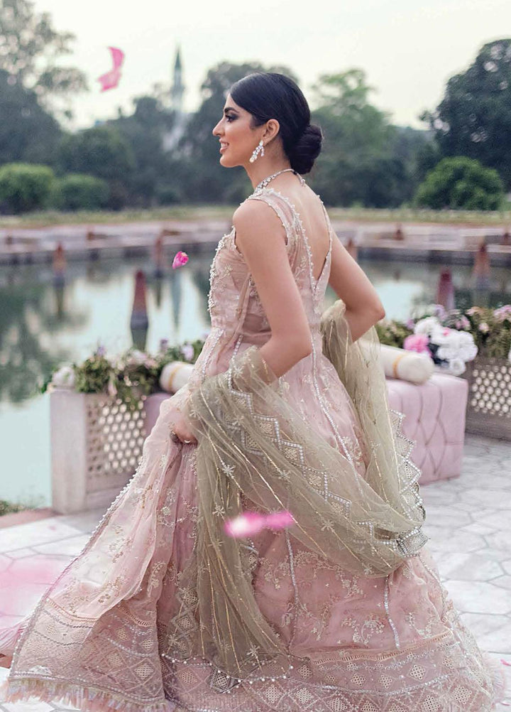 Mushq Embroidered Chiffon Suits Unstitched 3 Piece MQ21TK SDL21-06 DAHALIA - Luxury Collection