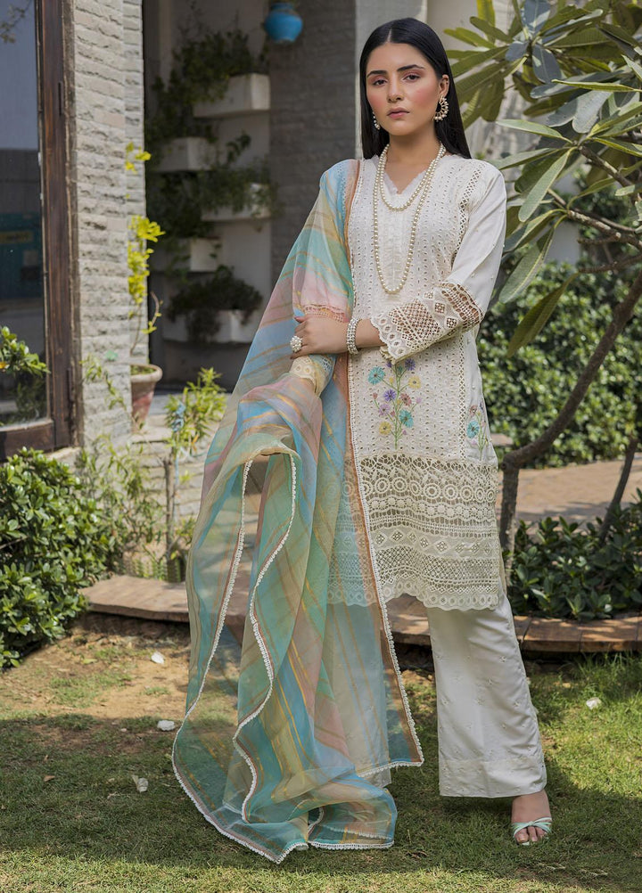 Sidra Mumtaz Ready to Wear (RTW)  Schiffli 3 Piece Suit SM-HA220302 HAMNA
