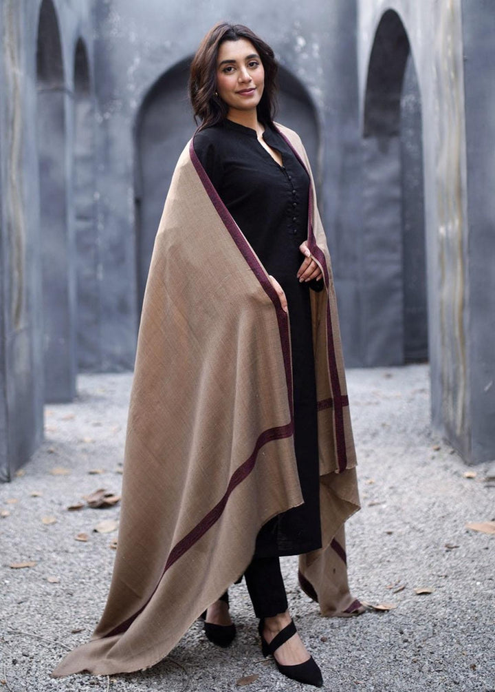 Naaz Couture    Ivory Brown Pashmina Wool Border - Women Shawls