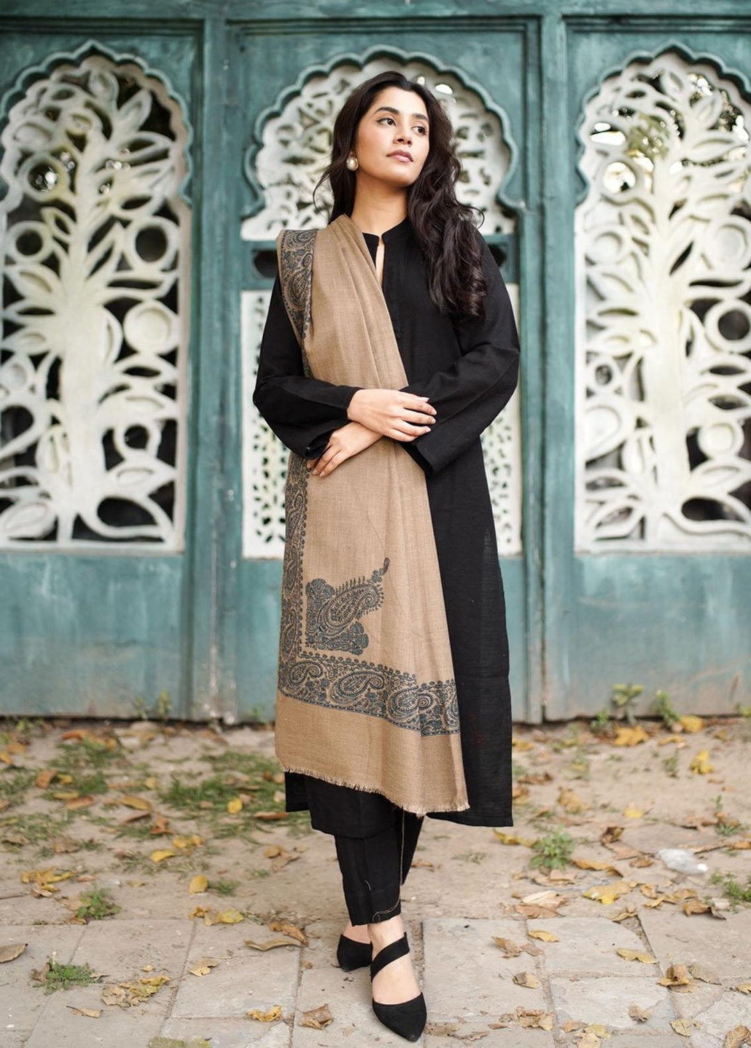 Naaz Couture    Handmade Hazelnut Beige Kashmiri Pashmina - Women Shawls