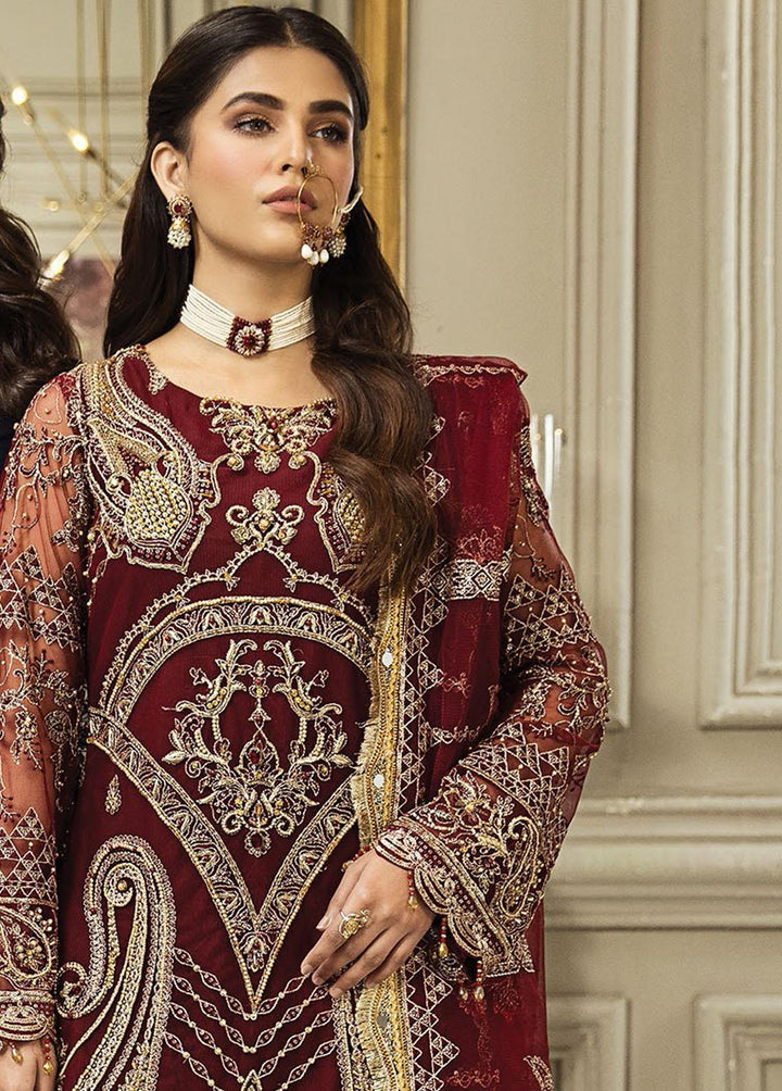 Nainsukh by House of Nawab Embroidered Net Suits Unstitched 3 Piece HON23-N3 03 Sanea (A) - Luxury Collection