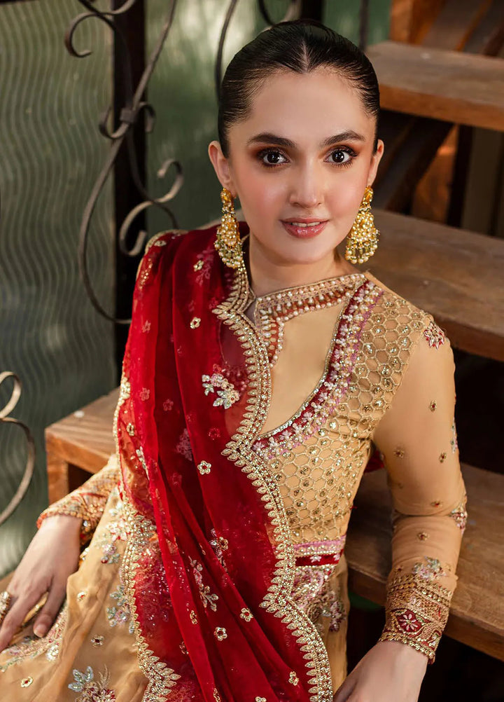 Naira by Roheenaz Embroidered Chiffon Suit Unstitched 4 Piece ENZ24N RNZ-07 Aylin - Luxury Collection