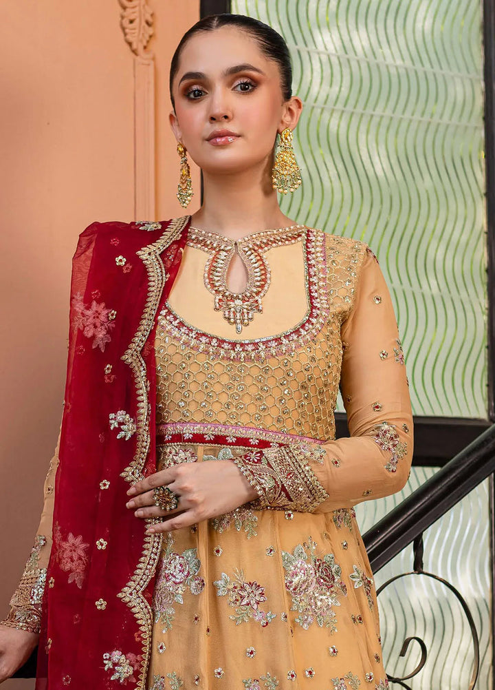 Naira by Roheenaz Embroidered Chiffon Suit Unstitched 4 Piece ENZ24N RNZ-07 Aylin - Luxury Collection